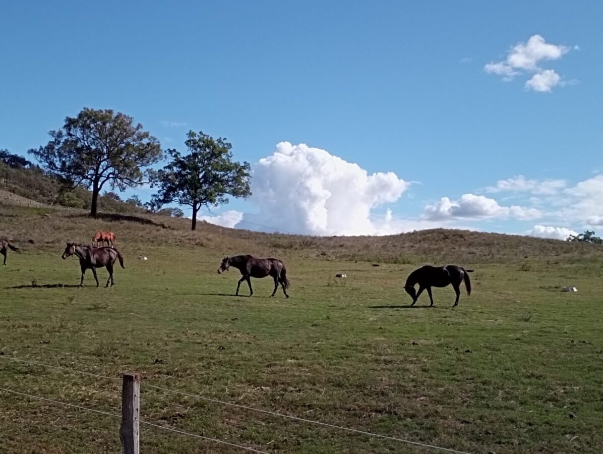 You are currently viewing Ranch en Australie : valider ses jours de ferme