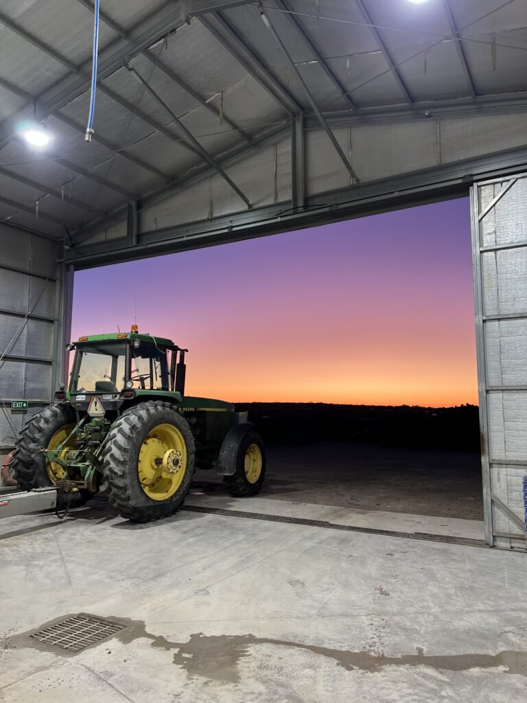 Travailler en Australie dans une ferme d'huîtres