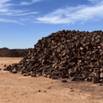 Ferme de bois Australie en PVT : témoignage de Delphine